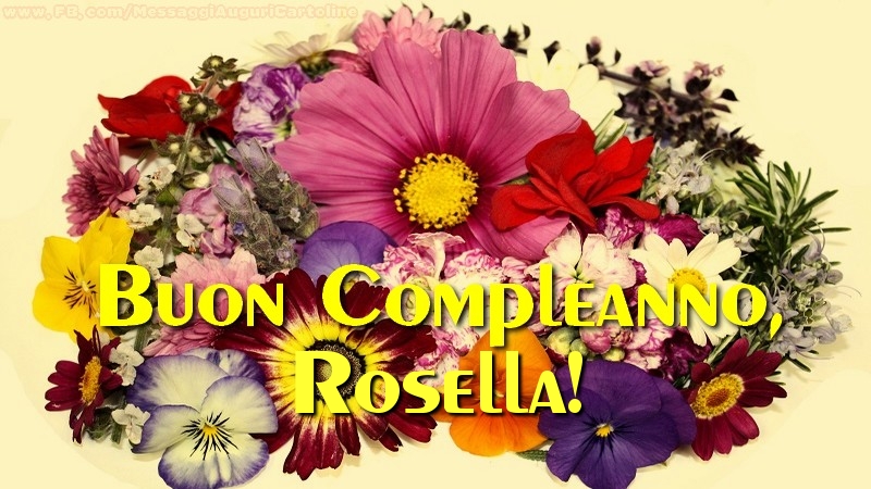 Cartoline di compleanno | Buon compleanno, Rosella!