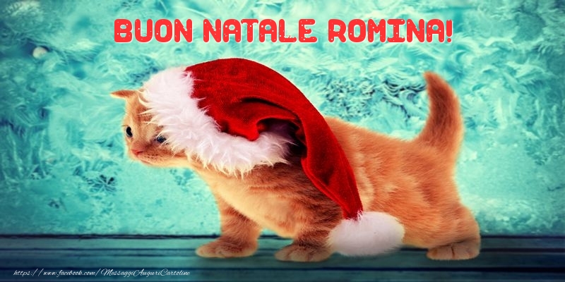  Cartoline di natale | Buon Natale Romina!
